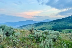 img-8028_orig-Large