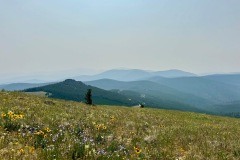 img-8072_orig-Large