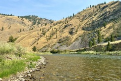 8142_orig-Large