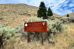 img-8162_orig-Large