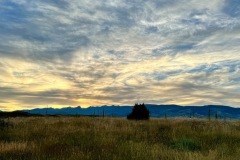 img-8210_orig-Large