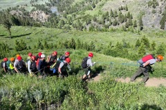 img-0417_orig-Large