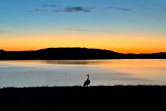 img-7497_orig-Large