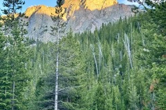 img-7921_orig-Large