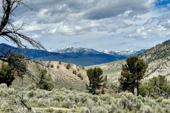 img-7622_orig-Large