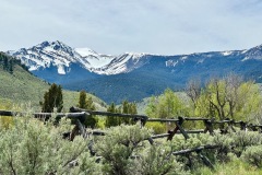 img-7647_orig-Large