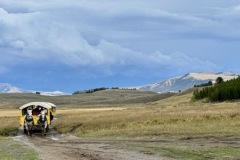 IMG_9502-Medium