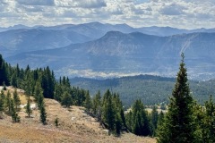 IMG_9541-Medium