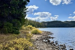 IMG_9550-Medium