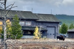 IMG_9567-Medium