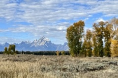 IMG_9574-Medium