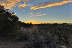 IMG_9624-Medium