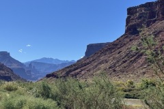 IMG_9626-Medium