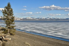 IMG_8766-Medium
