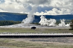 IMG_8804-Medium