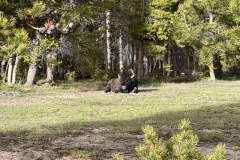 IMG_8806-Medium