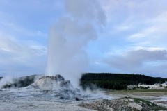IMG_8888-Medium
