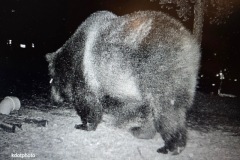 image000002-Medium