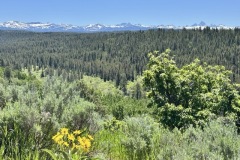 IMG_8899-Medium