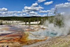 IMG_9054-Medium