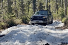snow-drift-Medium