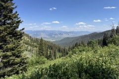 IMG_9172-Medium