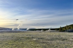 IMG_8709-Medium